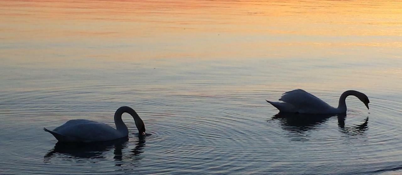Ferienwohnung I Tulipani Di Anna Castiglione del Lago Exterior foto