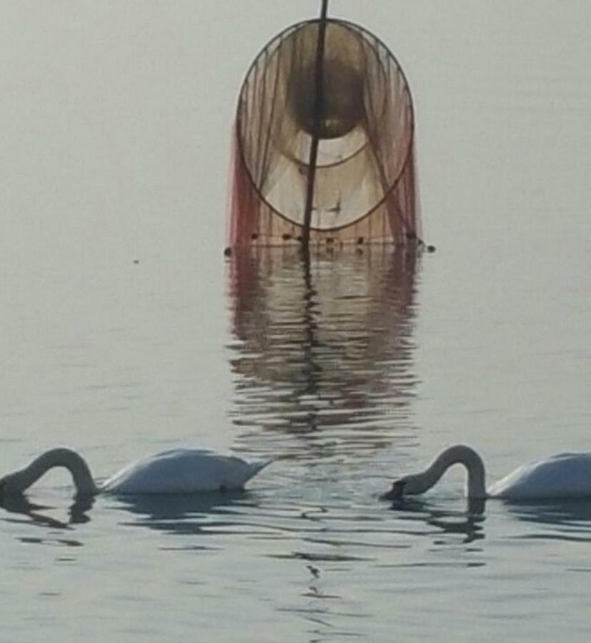 Ferienwohnung I Tulipani Di Anna Castiglione del Lago Exterior foto