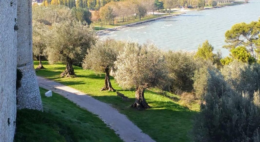 Ferienwohnung I Tulipani Di Anna Castiglione del Lago Exterior foto